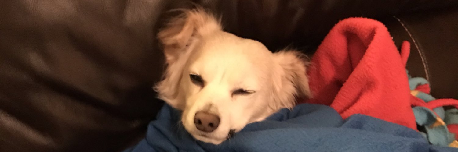 AndrewLu63's profile banner image
