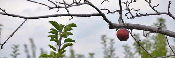 Chuxworth Profile Banner