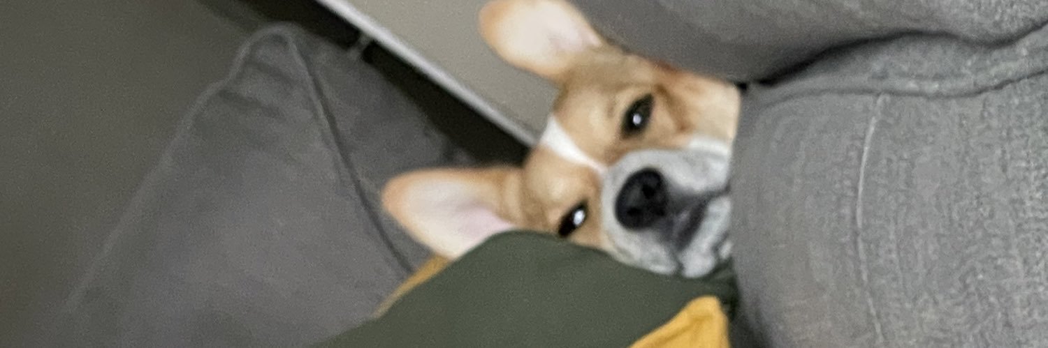 izzybreeezy's profile banner image