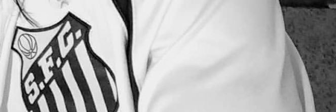Rose Lima banner