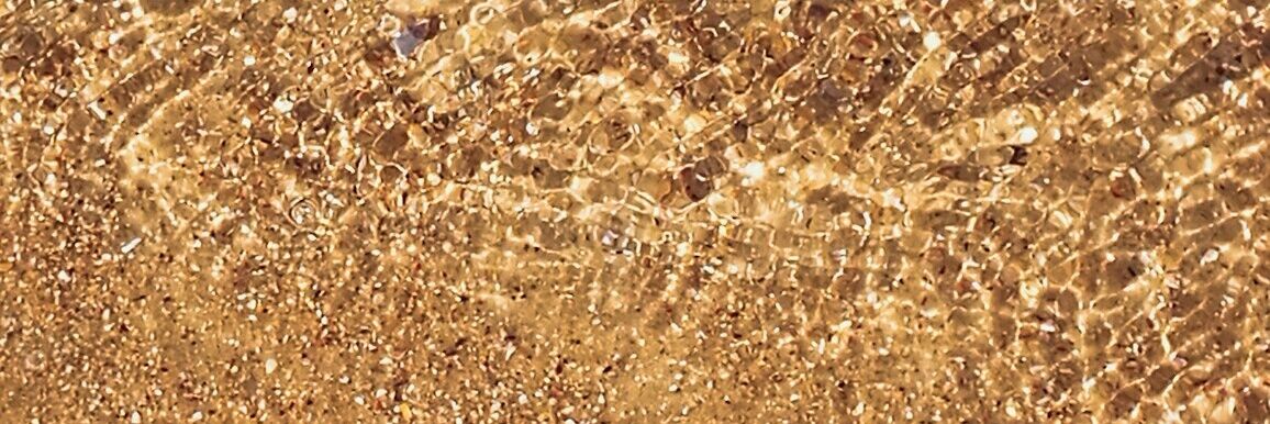 thatyaguiar's profile banner image