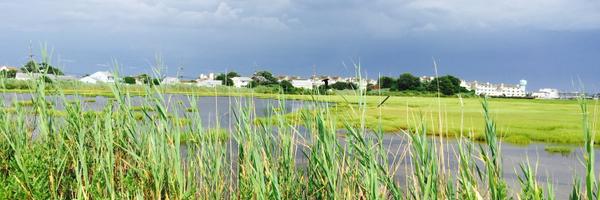 gotaloha2003 Profile Banner