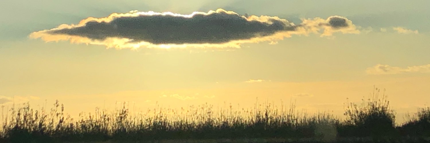 DaydaMireida's profile banner image