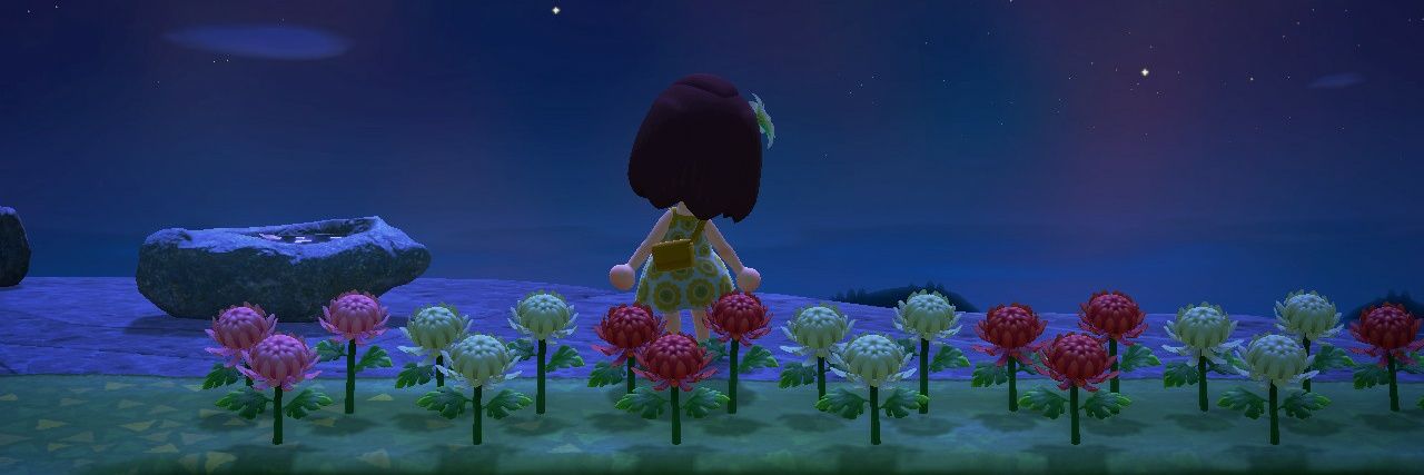 GamerChic22's profile banner image