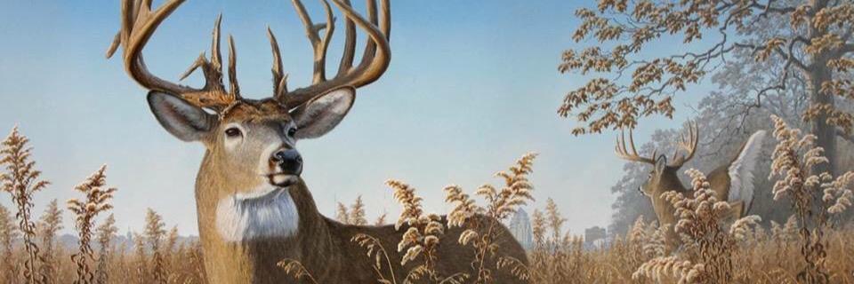 coreybeard14's profile banner image