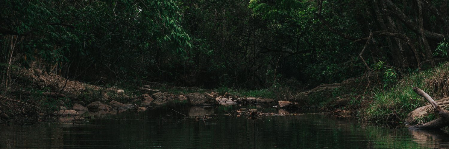 svdq's profile banner image