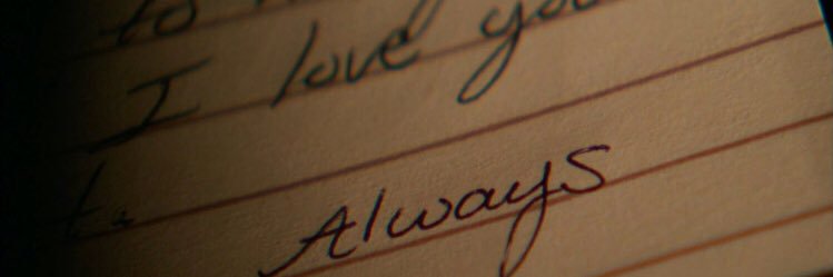 LucyMatoso's profile banner image