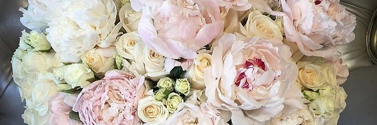 Laura_LauraB's profile banner image