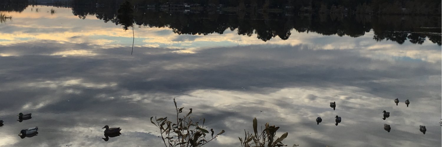 MSUpowell24's profile banner image