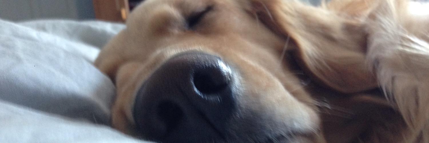 tbongen's profile banner image