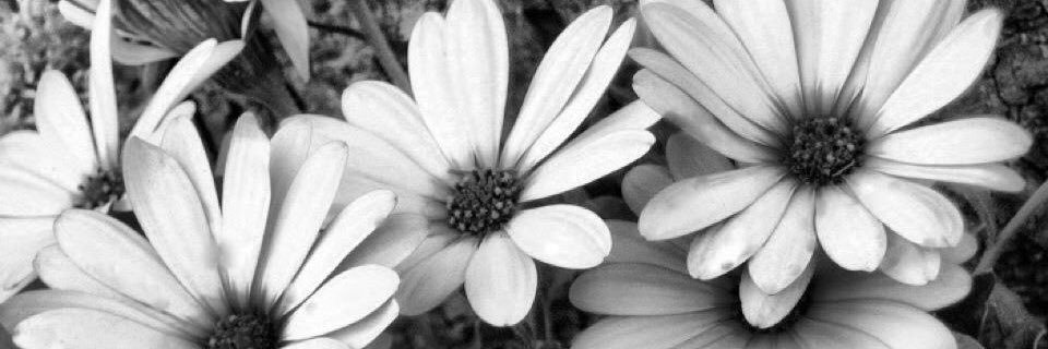 TLC_1313's profile banner image