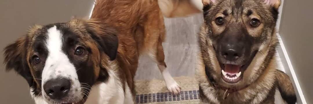 Kilee & Chris banner