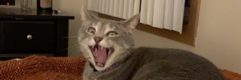 hantryb's profile banner image