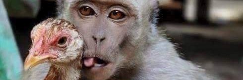 OGoledirtyGIlk's profile banner image
