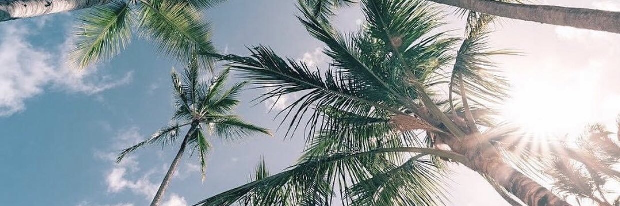 ali_culp's profile banner image