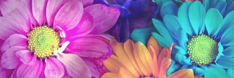 chanai0109's profile banner image