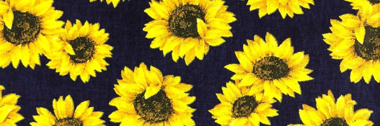 julia_romao's profile banner image
