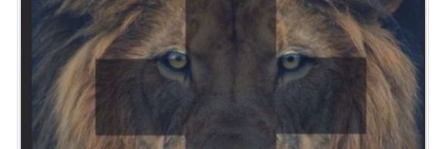 Robyn_nothicke's profile banner image