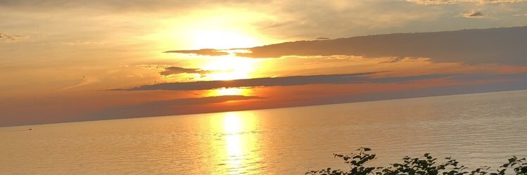 Bre_Irwin's profile banner image