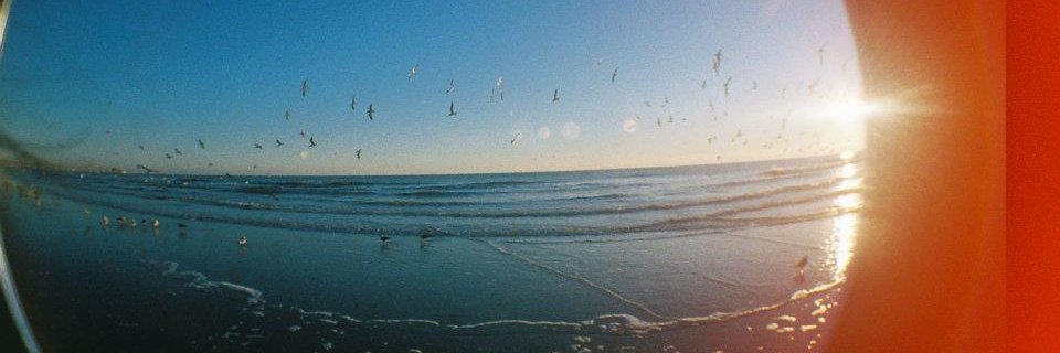 Kat Thames 🍊 banner