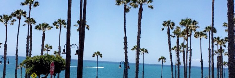 haails_yeah's profile banner image