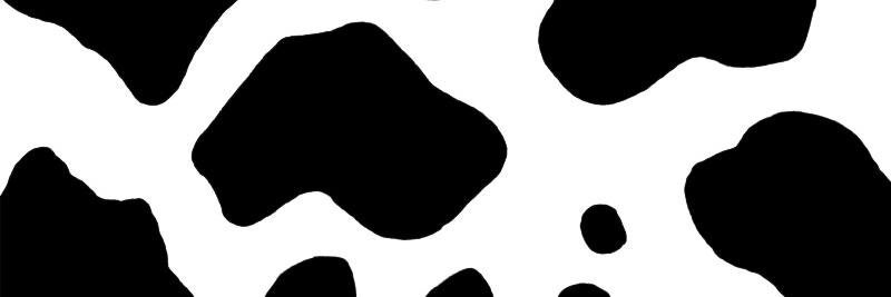 antoniamattioli's profile banner image