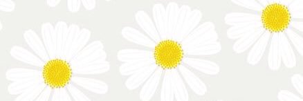 flagaravelli's profile banner image