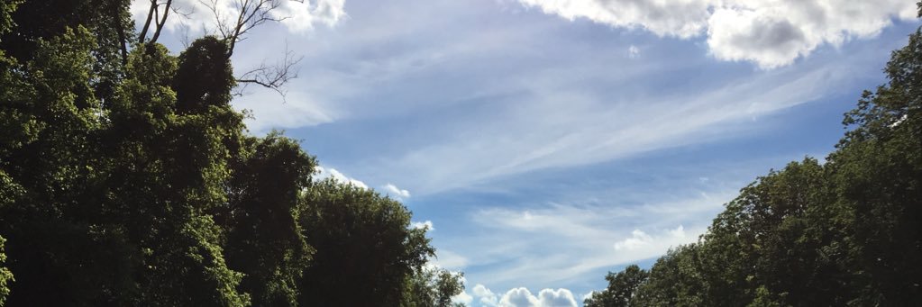 TabbithaK's profile banner image