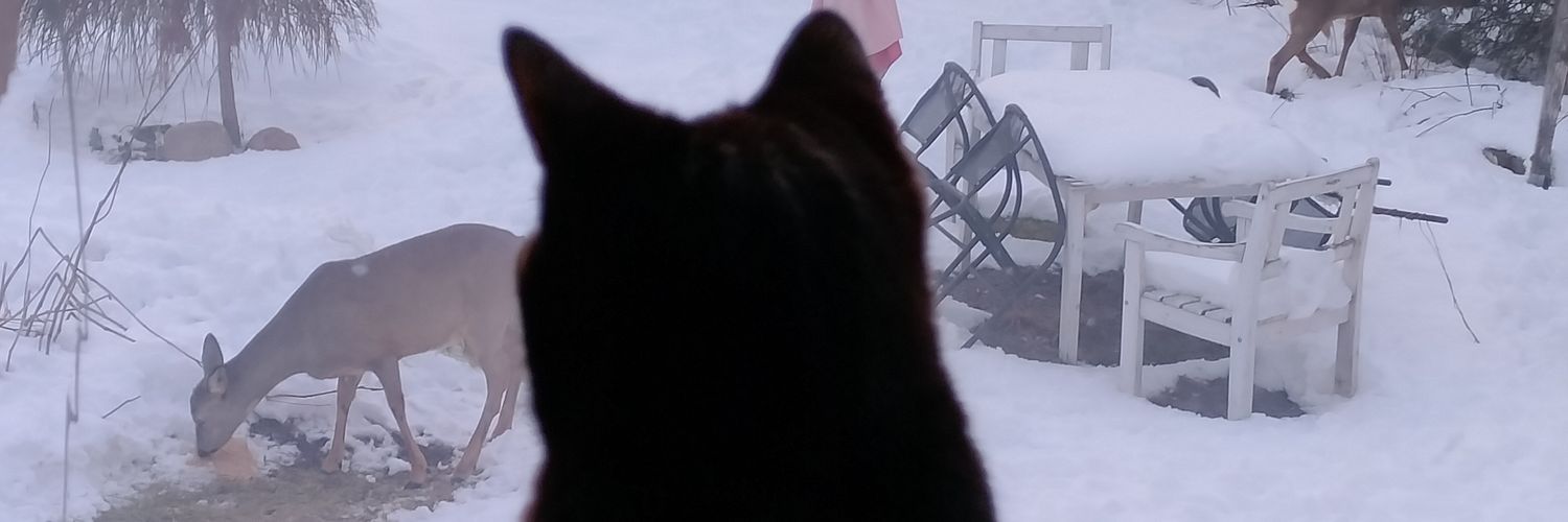 Bebbe44's profile banner image