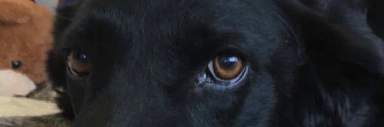kalm37's profile banner image