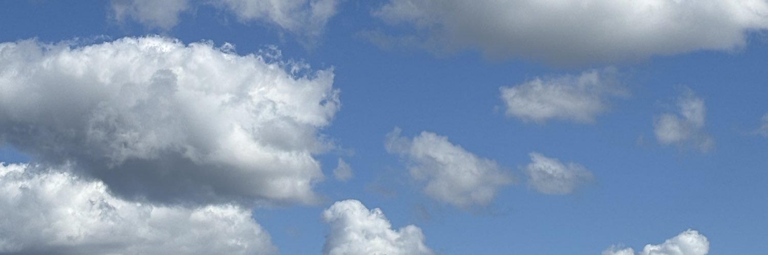 takodmole's profile banner image
