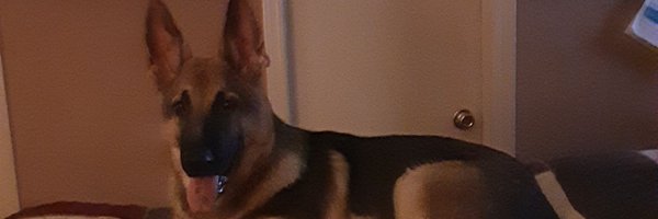 ronnawags4 Profile Banner