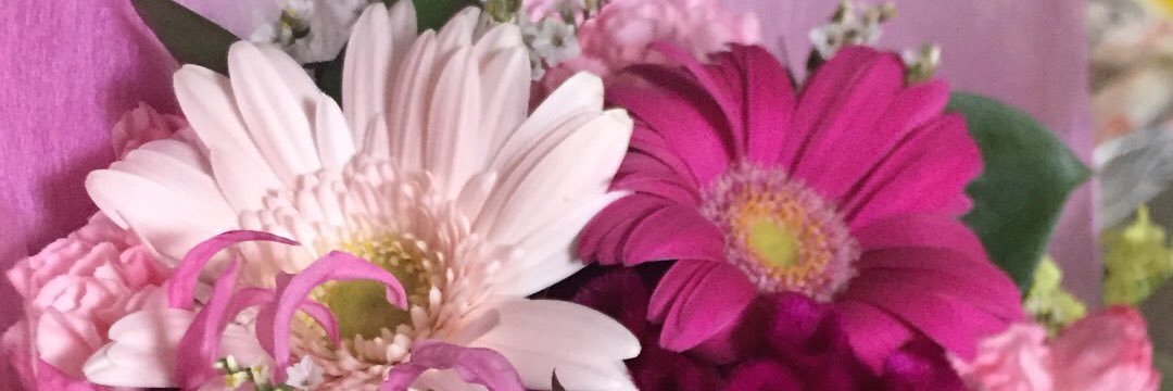 chiaki_722's profile banner image