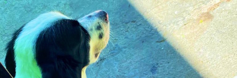 Dann_M20's profile banner image