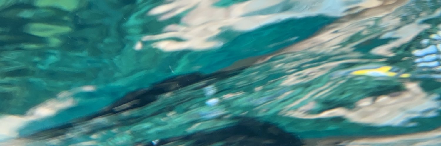 nathanhermida's profile banner image