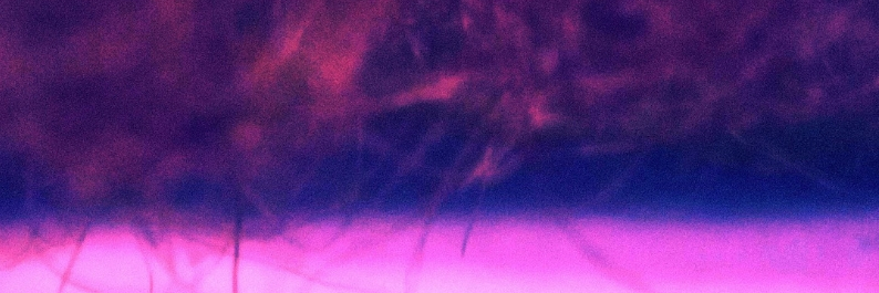 LiteraryPixie's profile banner image
