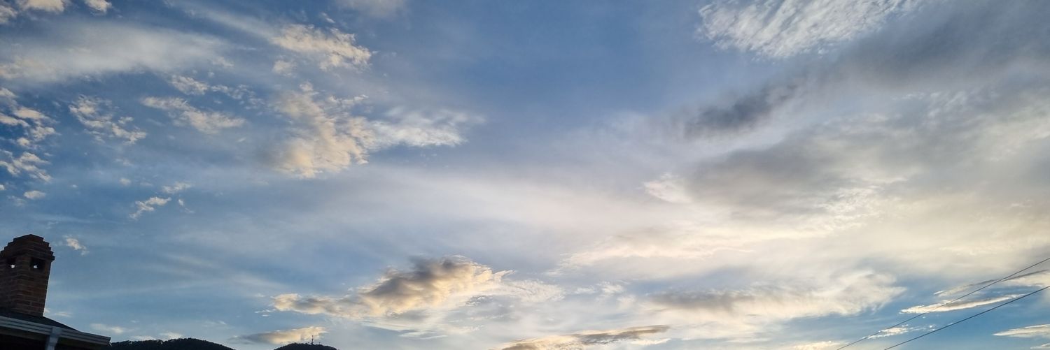 crypto vincent banner