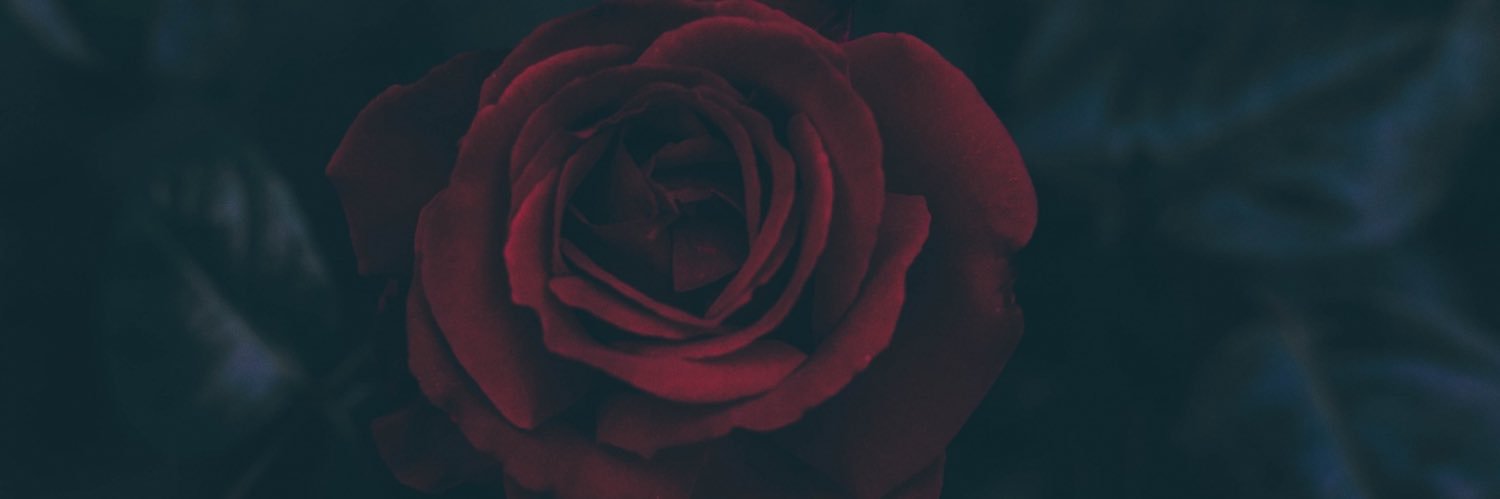 kailav12's profile banner image