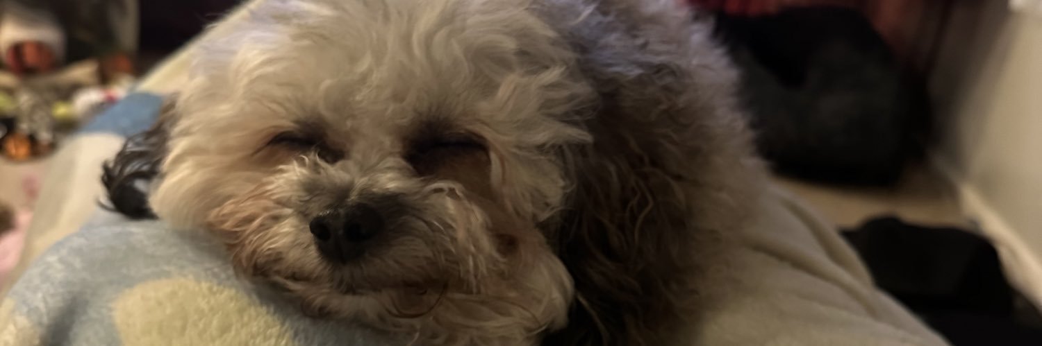 Carlee Shifko, PharmD banner