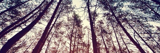 elimarieb's profile banner image