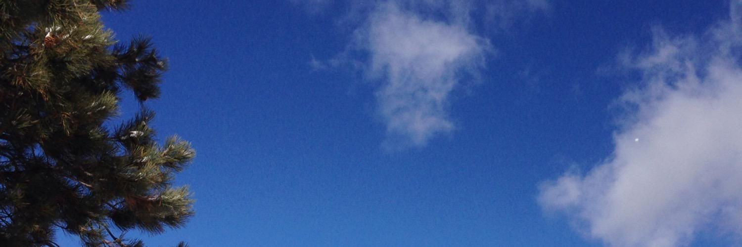 Candace Frostenson banner