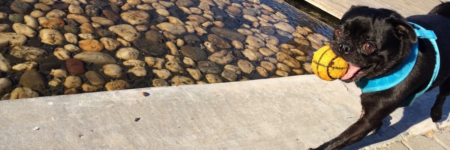 justia's profile banner image