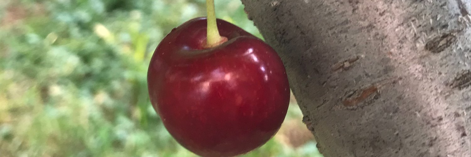 _mmt1_'s profile banner image