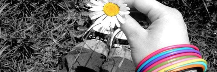 shabanamoin's profile banner image