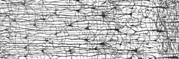 NeuroethicsAU Profile Banner