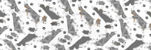 sffcorgi's profile banner image