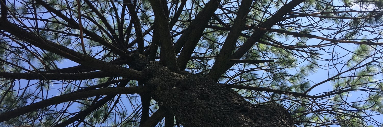 GrafIgnacio's profile banner image