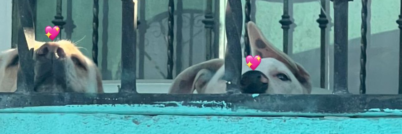 kurxmita's profile banner image