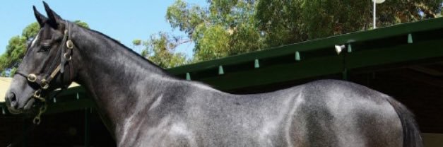 nikbrado's profile banner image