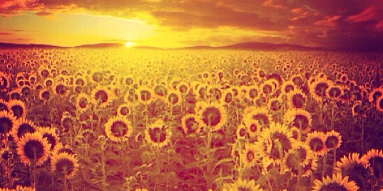 allychaps13's profile banner image